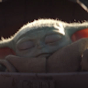 Meet your Posher, Tailgate